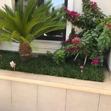 Home Hotel 酒店 地拉那