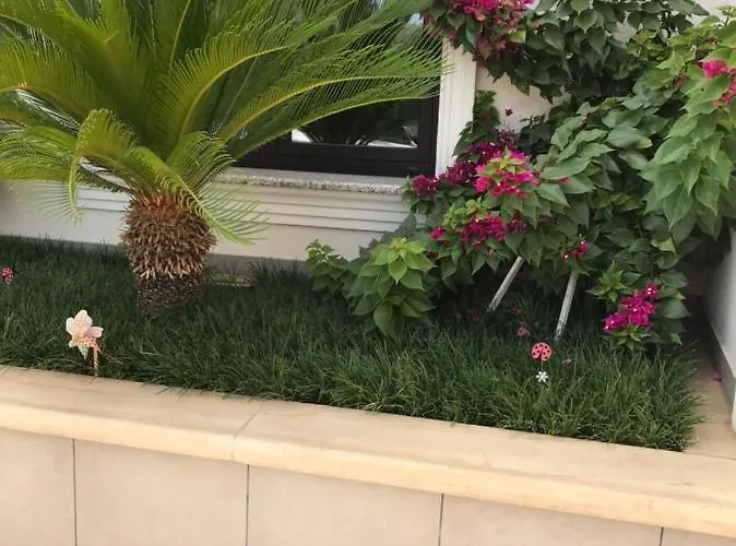 Home Hotel Hotel Tirana